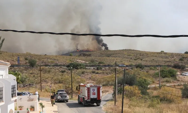 Tragic Wildfire in Southern Spain Claims Lives as Residents Flee